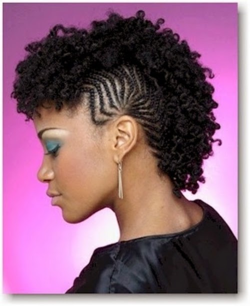Twist Hairstyles For Natural Hair Twist Braided Styles 