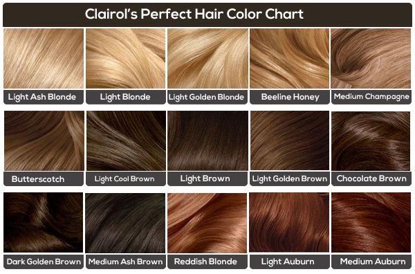 Dark Brown Hair Chart