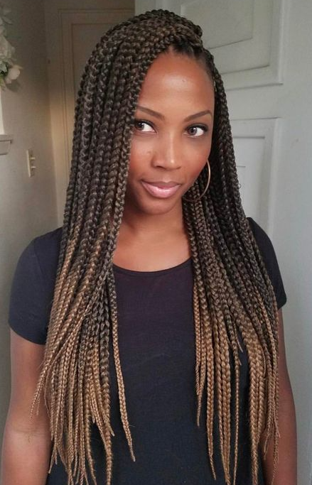 Braid Hairstyles With Color