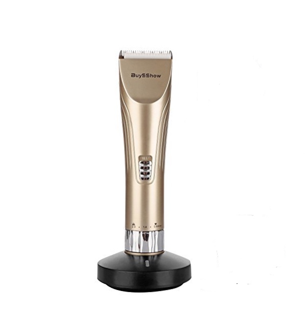 BuySShow Professional Hair Clippers