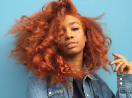 30 Best Hair Colors for Dark Skin Best Hair Colors For Dark Skin Tones