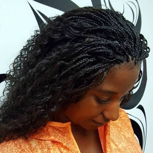 Micro Braid Hairstyle Images