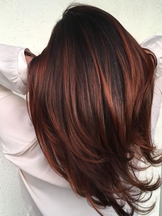 Brown With Red Highlights