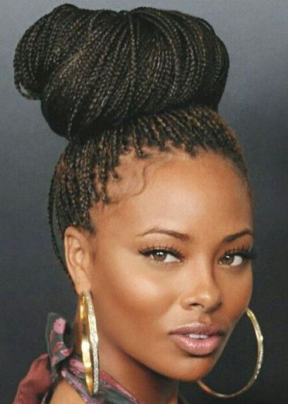 Purple Tinted micros in a bun | Senegalese twist hairstyles, Braided hairstyles  updo, Micro braids hairstyles