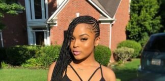35 Lemonade Braids Styles for Protective Styling Lemonade Braids
