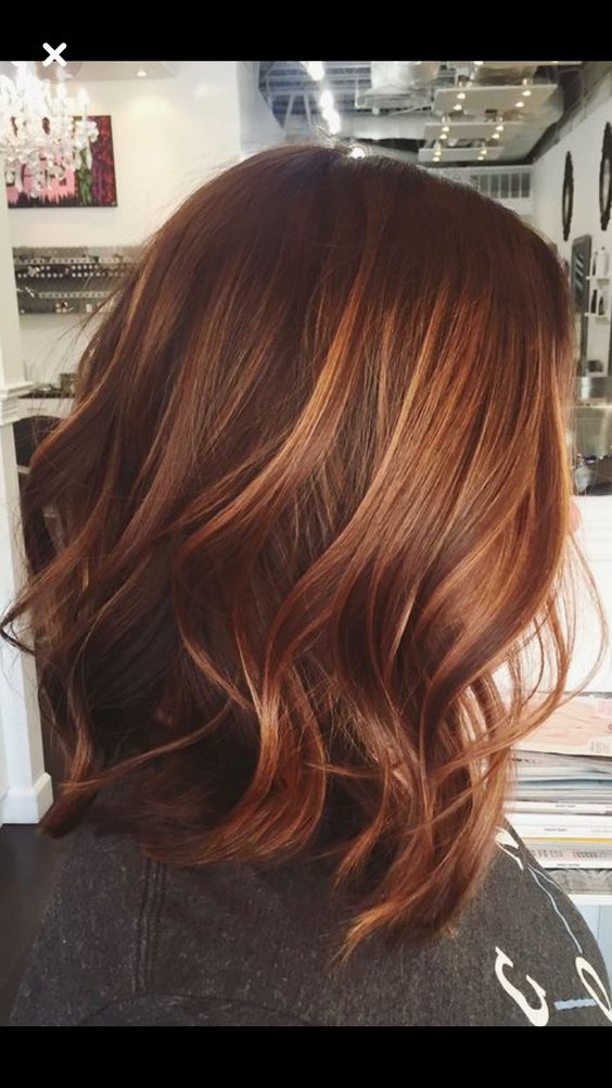auburn hair highlights balayage styles warm colors brown copper fall natural hairstyles looking blonde luxurious lowlights redheads haircolor golden brunette