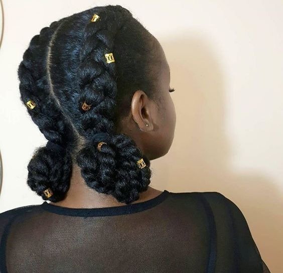 Two Braids Hairstyles Natural Hair