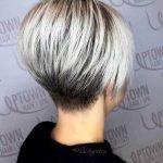 grey black Pixie, Bob