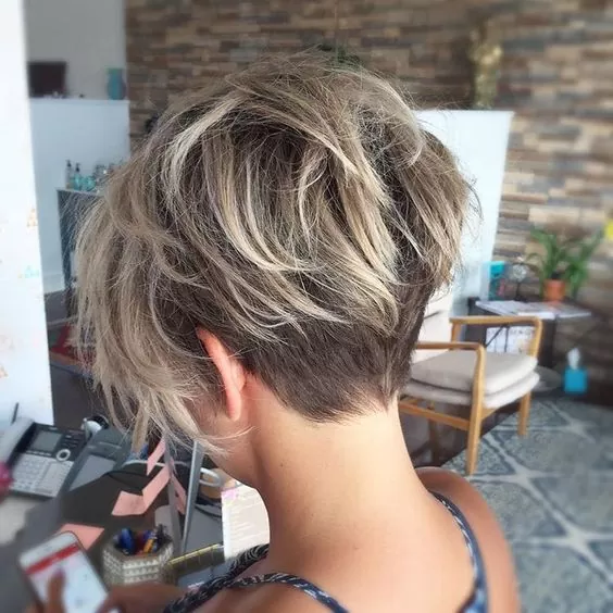 Undercut Pixie bob