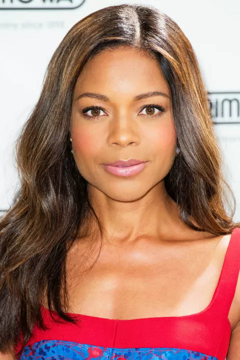 single layer highlights