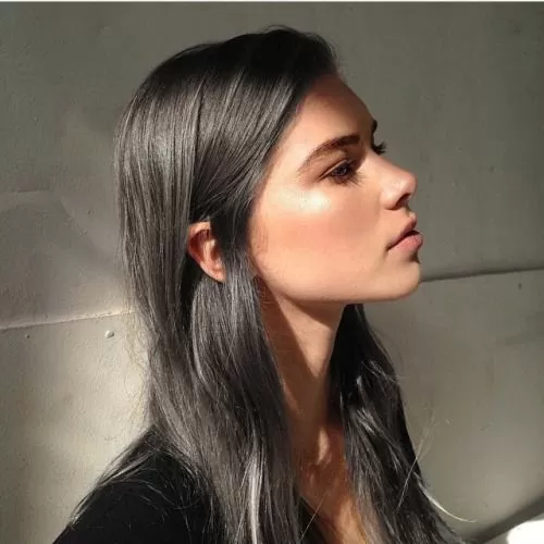 dark brown with grey babylights