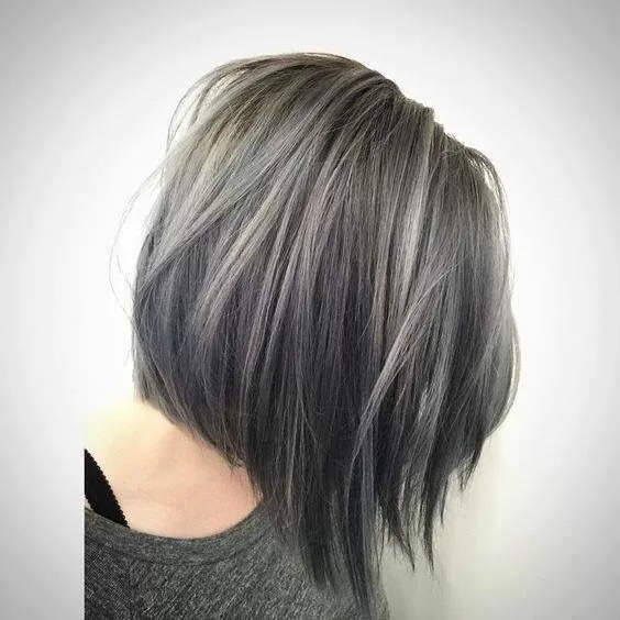 layered ash highlights
