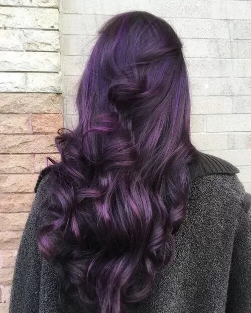 Eggplant with Violet Highlights