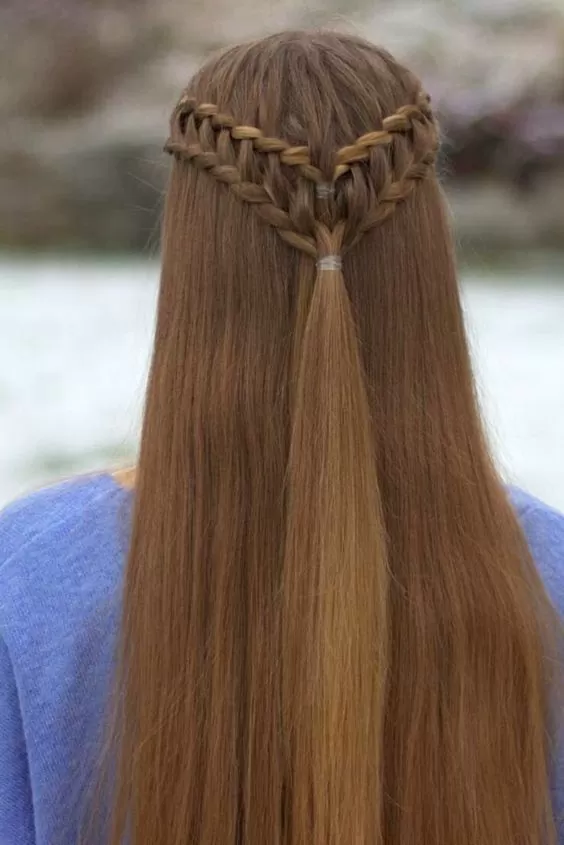 half up two ladder braids