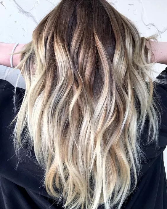 High Contrast Brown Blonde hair