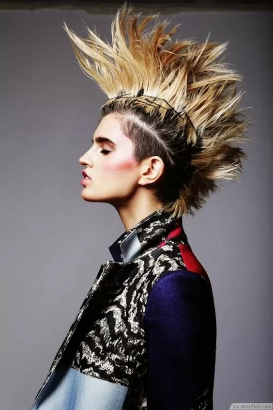 40 Long and Short Punk Hairstyles for Guys and Girls
