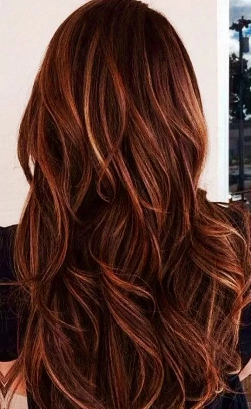Dark Auburn and Cinnamon Highlights