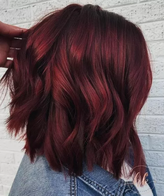 Mulled Wine Hair With Cinnamon Highlights