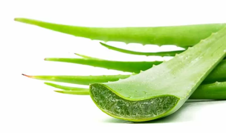 DIY Alternatives For LOC Method