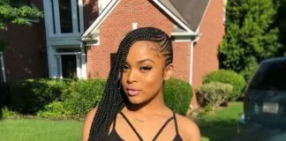 35 Lemonade Braids Styles for Protective Styling Lemonade Braids