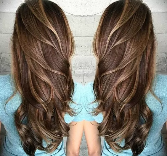 Long and Feathered Tortoiseshell