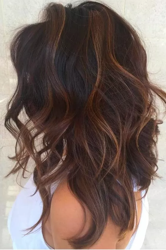 Partial Cinnamon Highlights