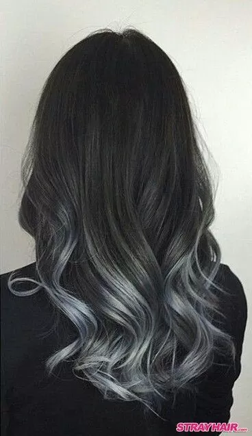Silvery Grey Partial Highlights