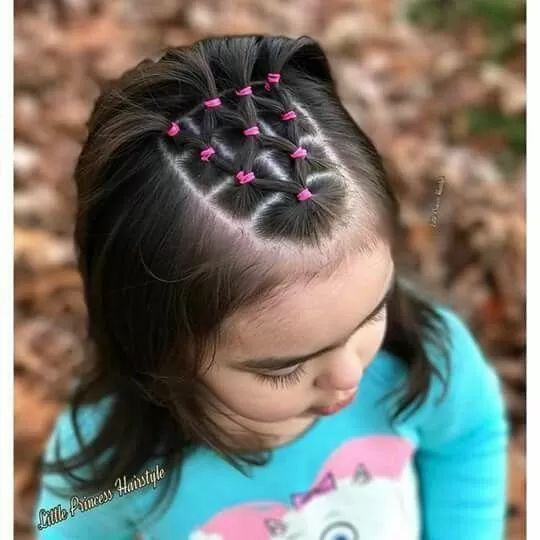 Intricate Mini Ponytail Style