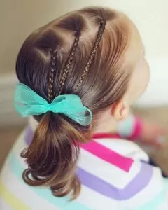 Mini Braids and Side Ponytail