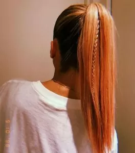 long straight ponytail mini braid